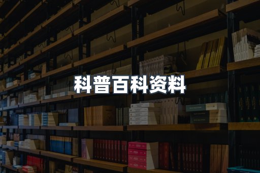 外文电子书系列